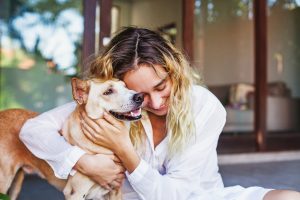 Who Gets the Pets in a Divorce?